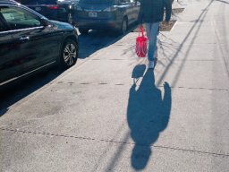 brooklyn-red-team-tracker-farragut-rd_112201_1738168883628