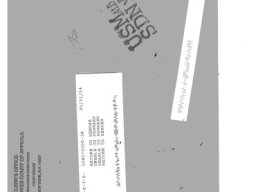 America the Great White Supremacy Nation