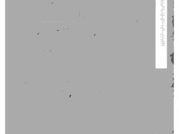 America the Great White Supremacy Nation