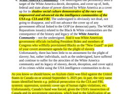 American Ongoing Human Rights Cover Up
